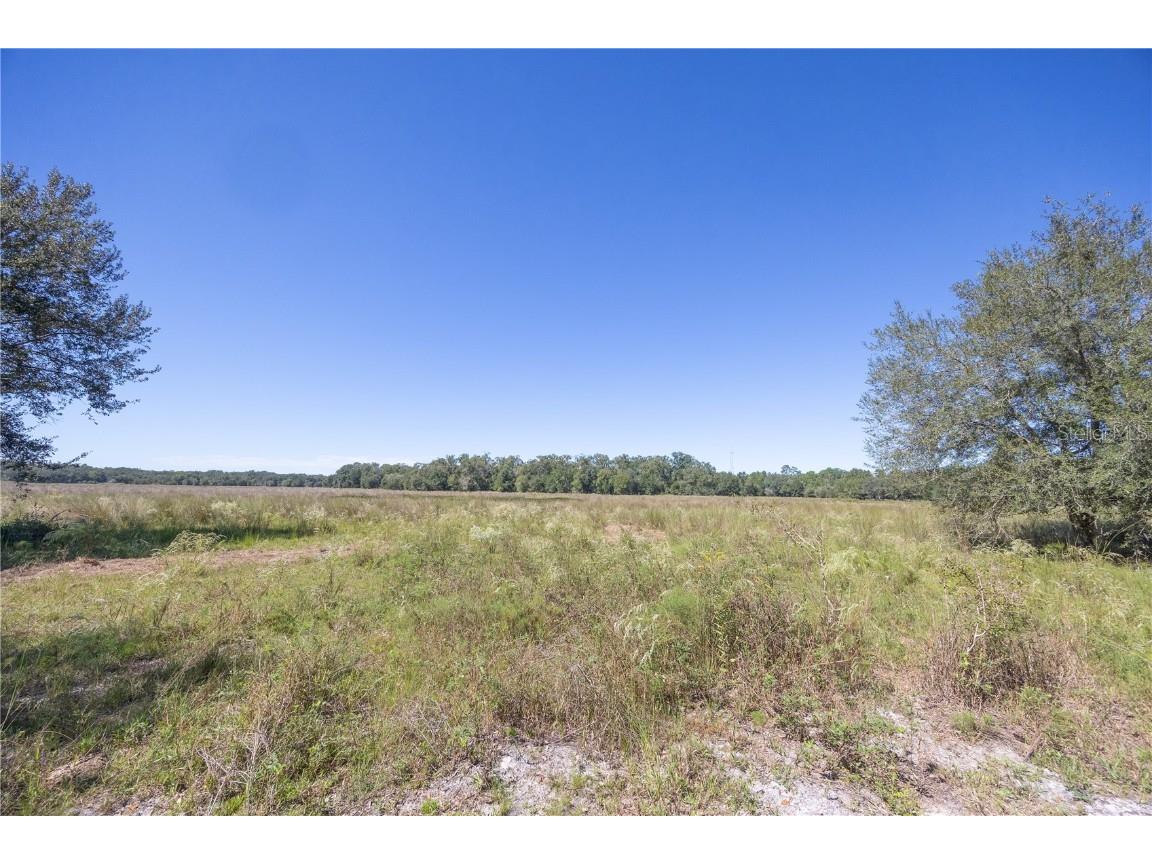 TBD Cr 673 Webster FL 33597 G5103879 image56