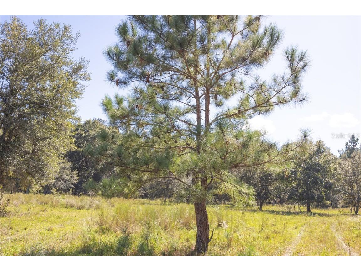 TBD Cr 673 Webster FL 33597 G5103879 image58