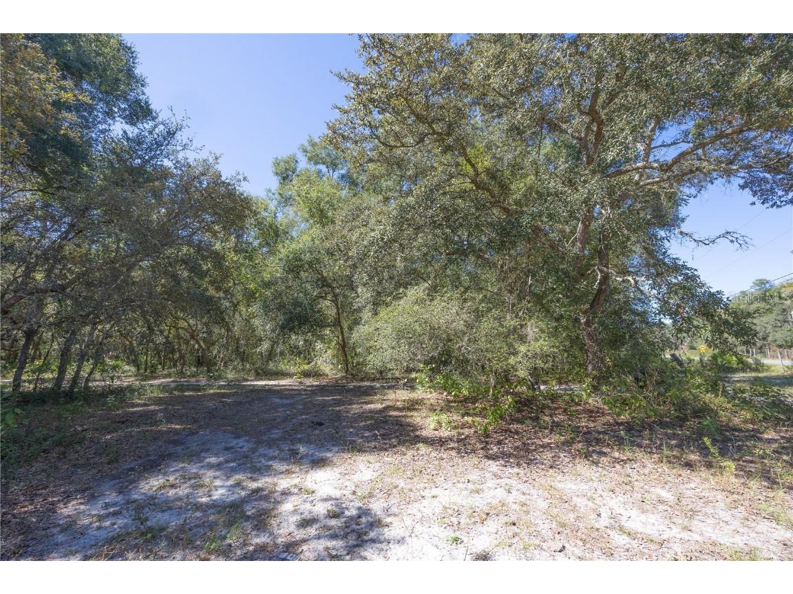 TBD Cr 673 Webster FL 33597 G5103879 image62