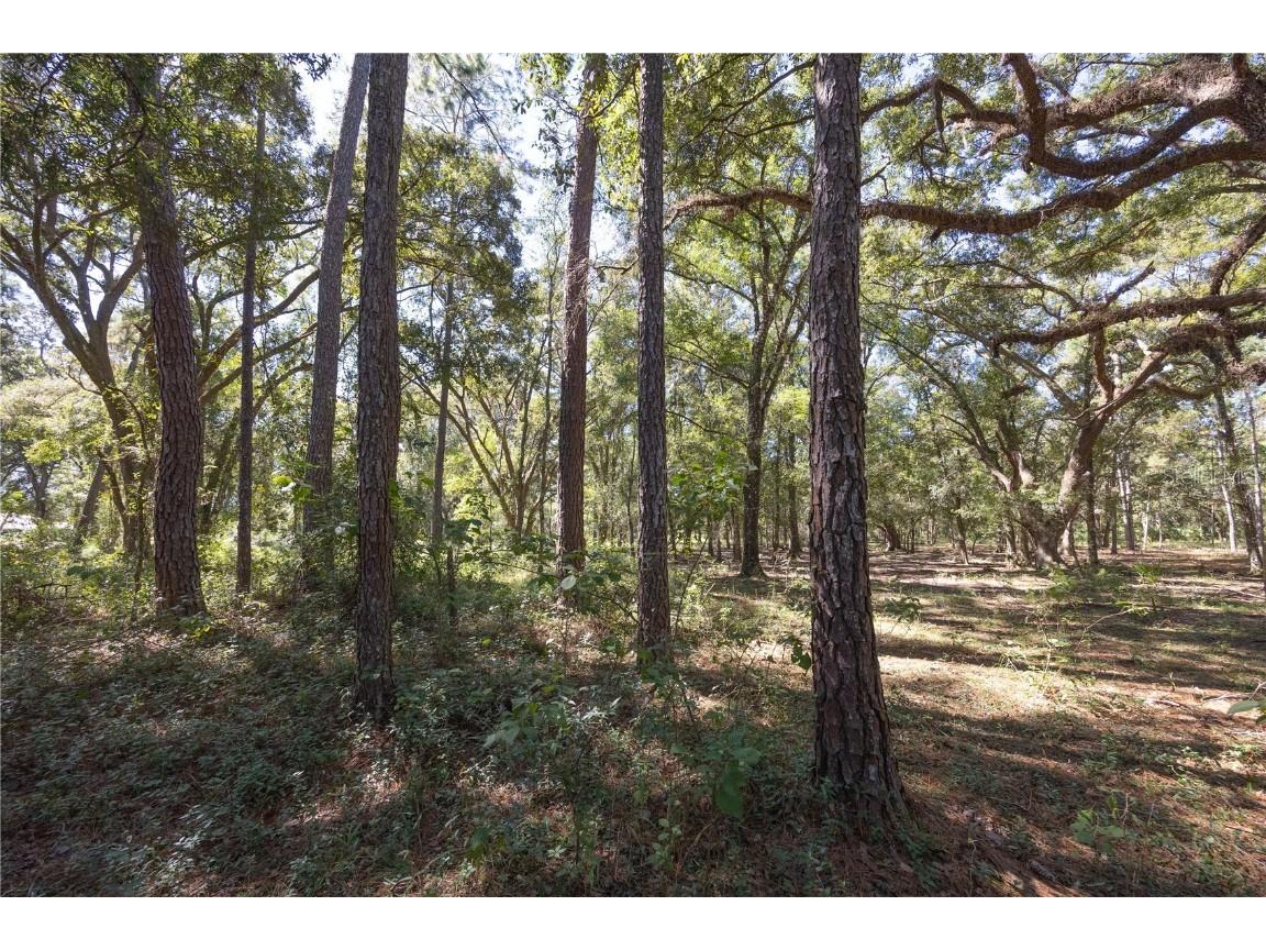 TBD Cr 673 Webster FL 33597 G5103879 image65