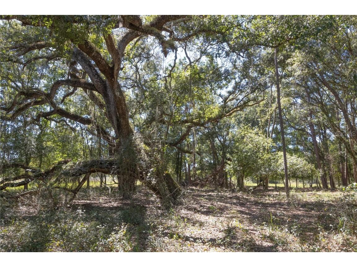 TBD Cr 673 Webster FL 33597 G5103879 image66