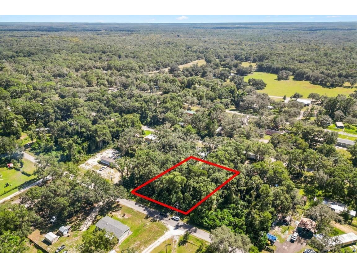 TBD Cr 690 Webster FL 33597 G5103197 image1