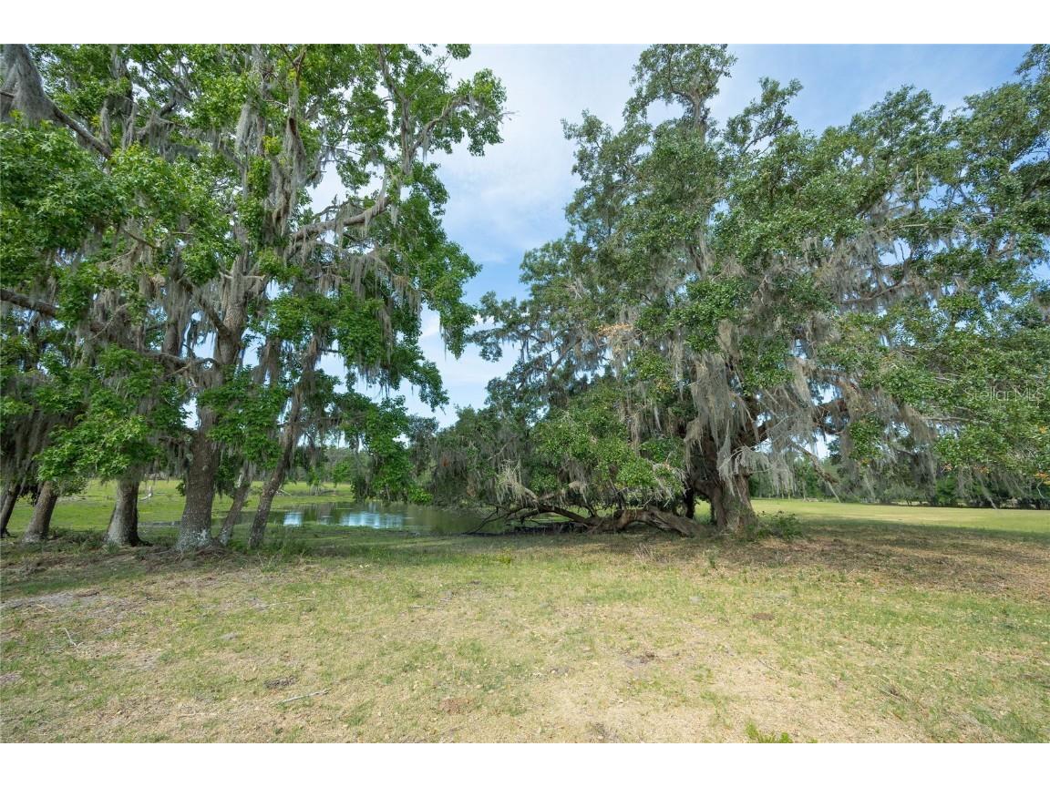 TBD Cr 772b Webster FL 33597 G5096925 image18