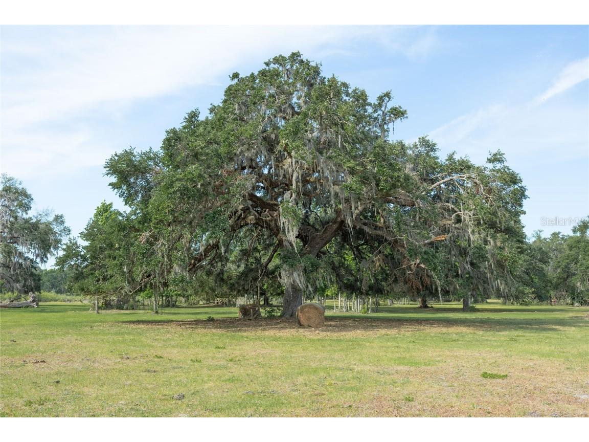 TBD Cr 772b Webster FL 33597 G5096925 image23