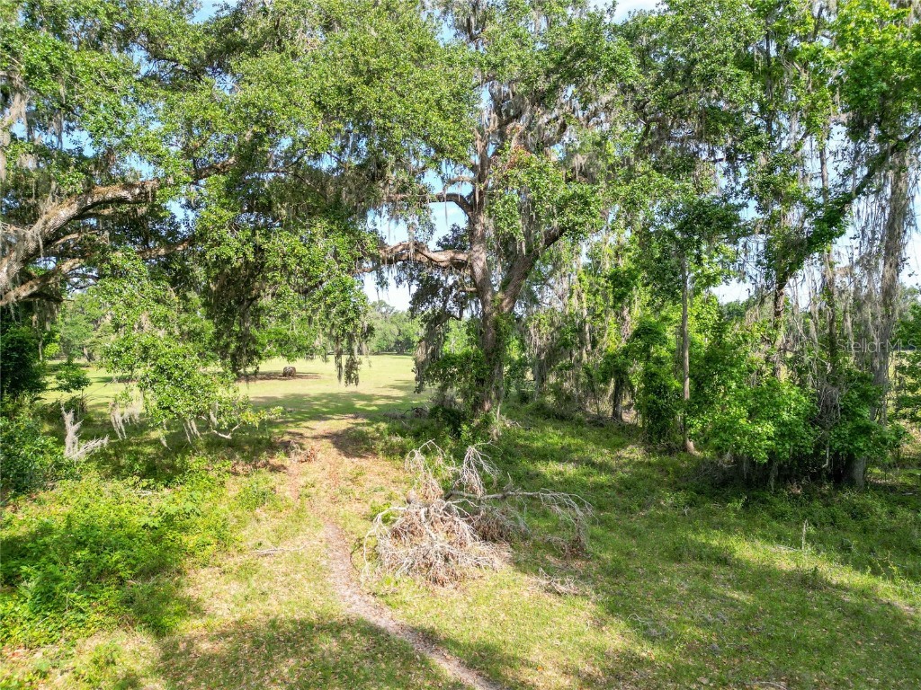 TBD Cr 772b Webster FL 33597 G5096925 image29