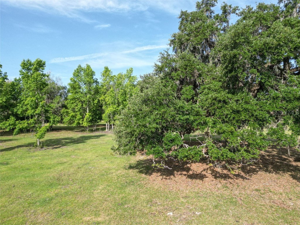 TBD Cr 772b Webster FL 33597 G5096925 image32