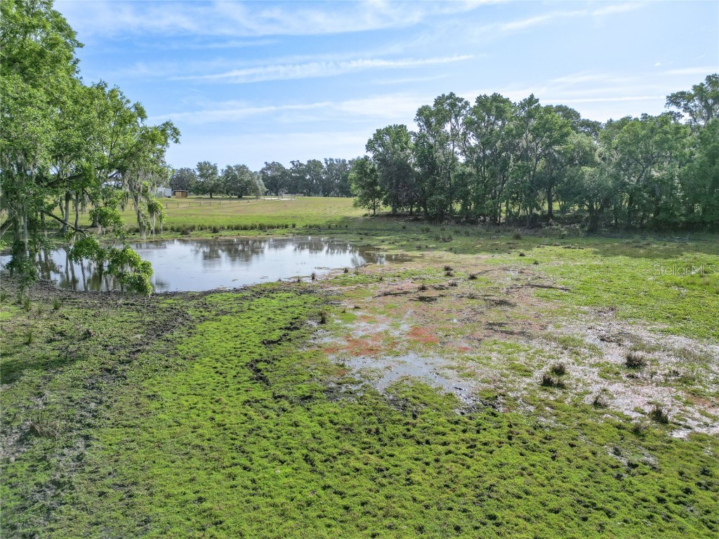 TBD Cr 772b Webster FL 33597 G5096925 image35