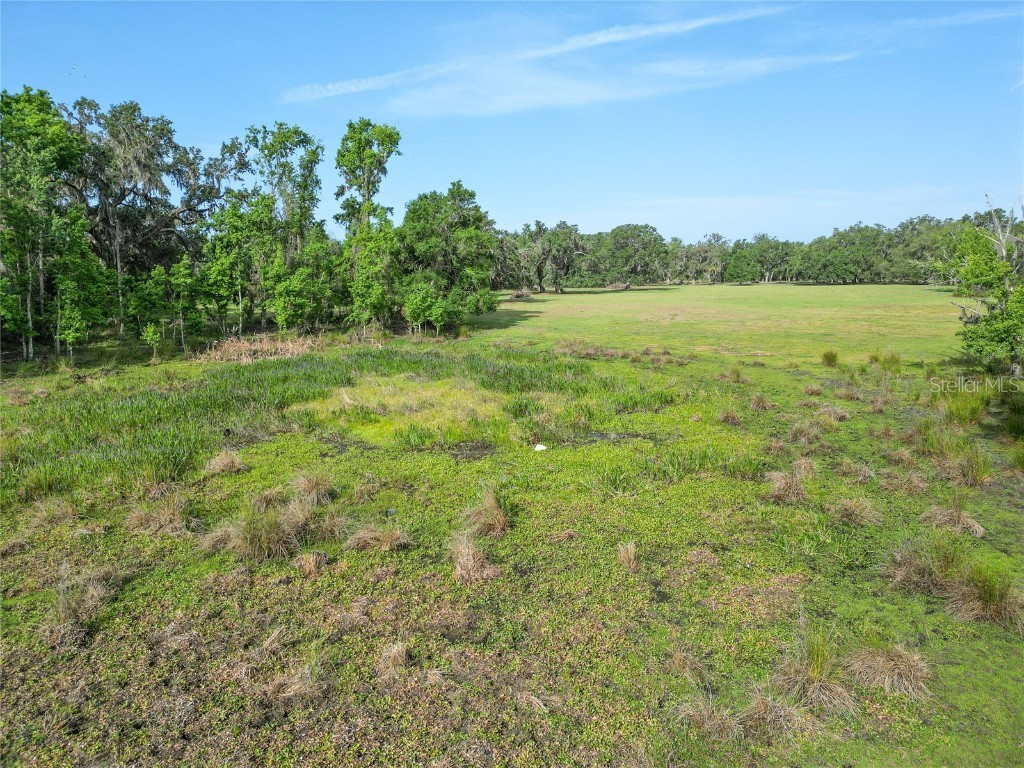 TBD Cr 772b Webster FL 33597 G5096925 image36