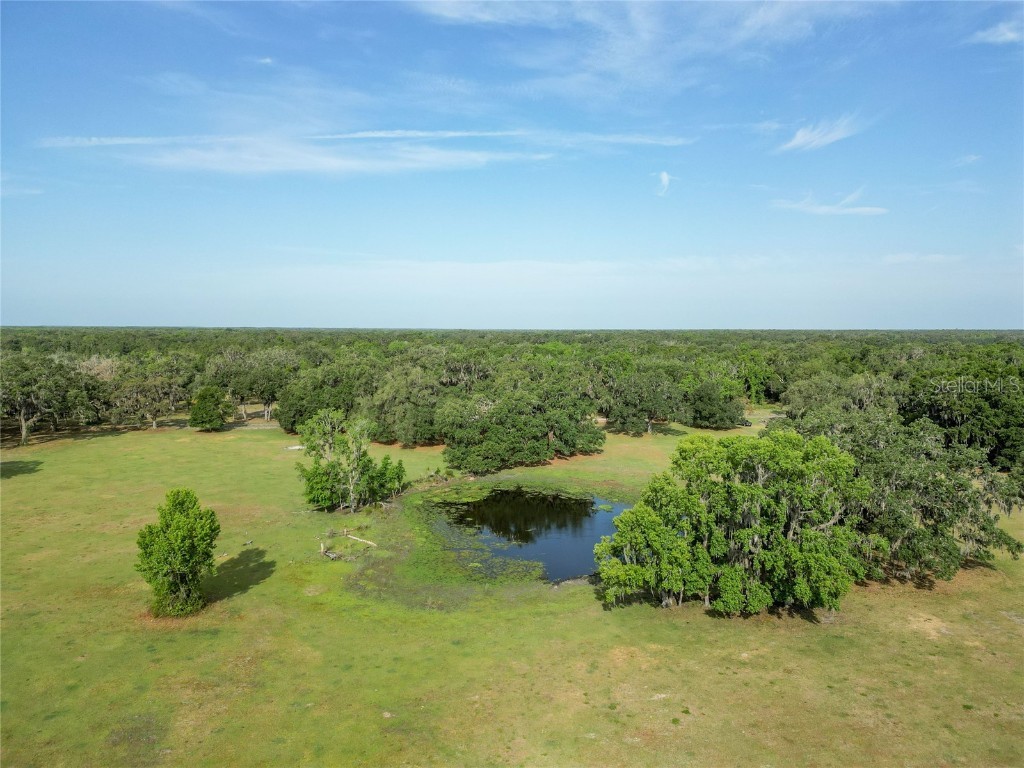 TBD Cr 772b Webster FL 33597 G5096925 image43