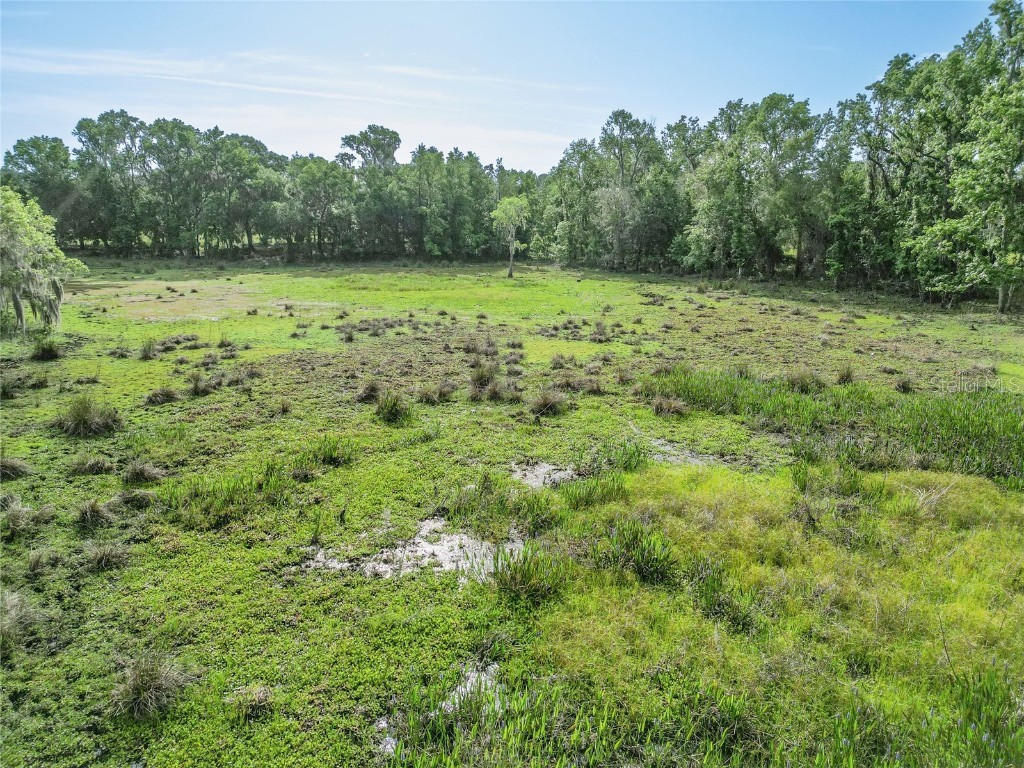 TBD Cr 772b Webster FL 33597 G5096925 image44