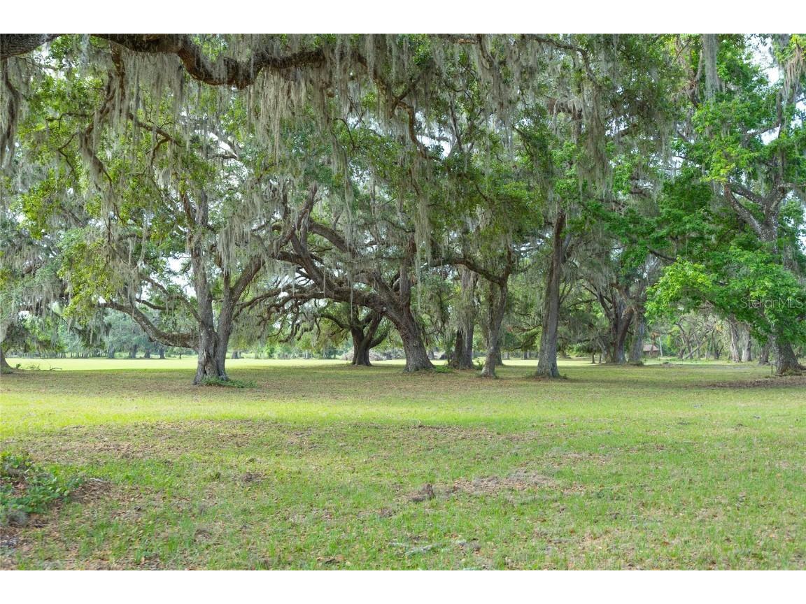 TBD Cr 772b Webster FL 33597 G5096925 image6