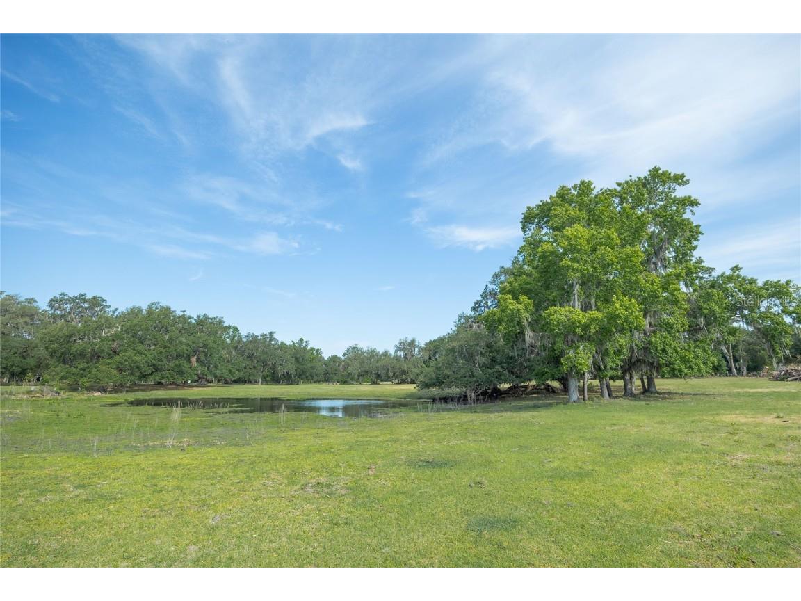 TBD Cr 772b Webster FL 33597 G5096925 image8