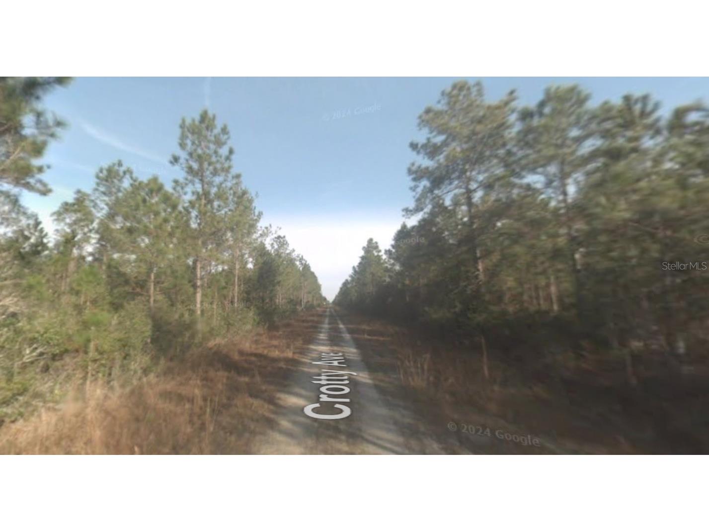 TBD Crotty Avenue Hastings FL 32145 OK224278 image1