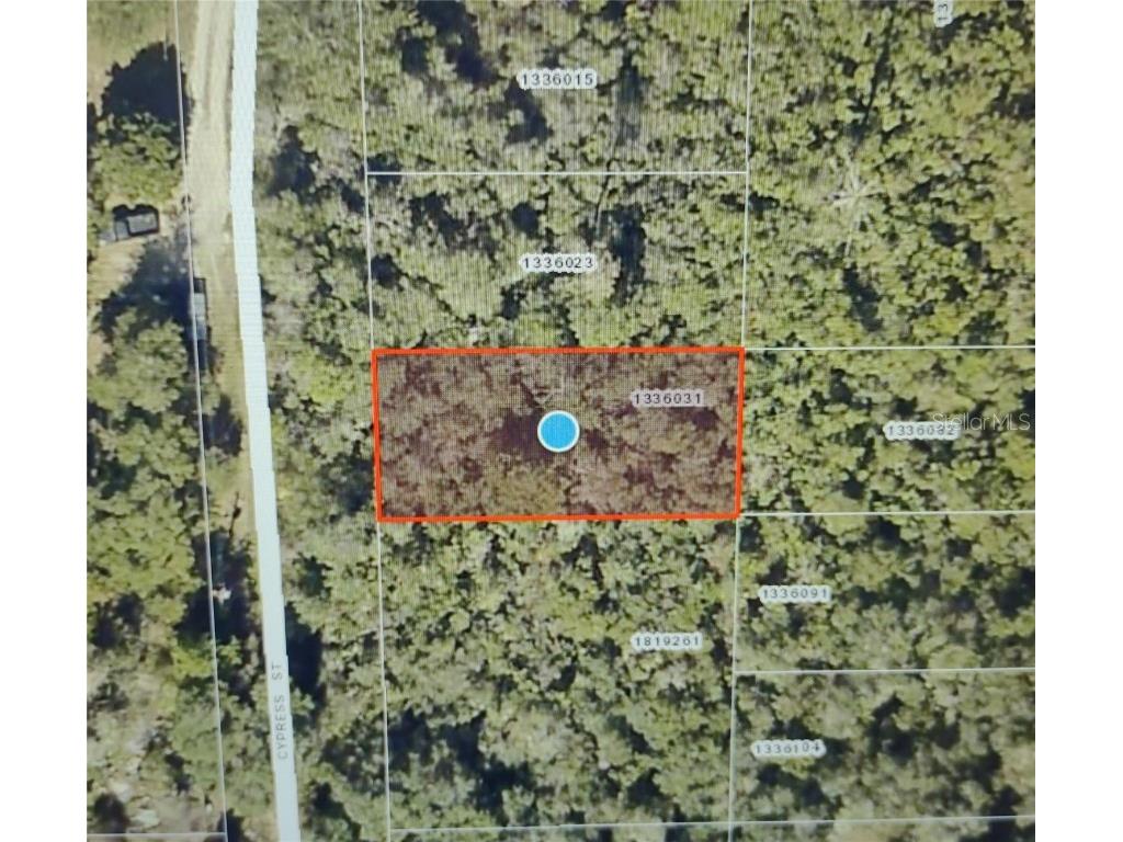 TBD Cypress Street Paisley FL 32767 T3468494 image1