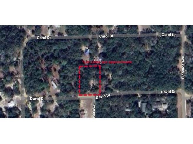 TBD David Drive Interlachen FL 32148 GC521915 image1