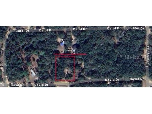TBD David Drive Interlachen FL 32148 GC521915 image2