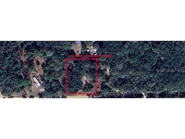 TBD David Drive Interlachen FL 32148 GC521915 image3