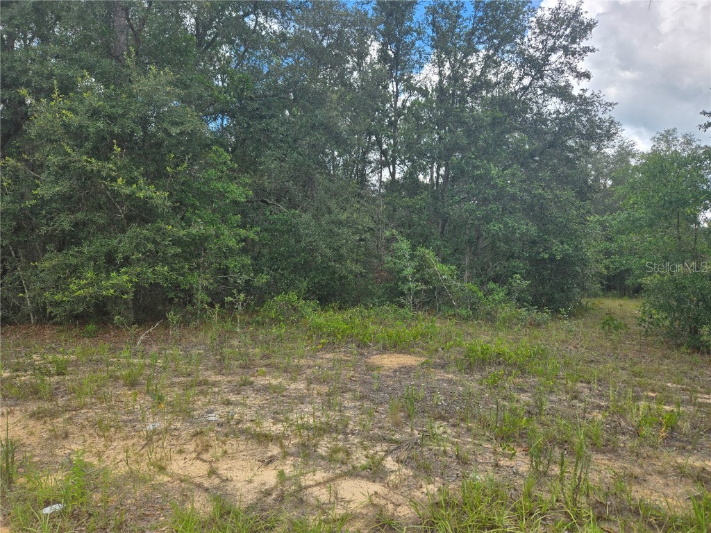 TBD David Drive Interlachen FL 32148 GC521915 image4