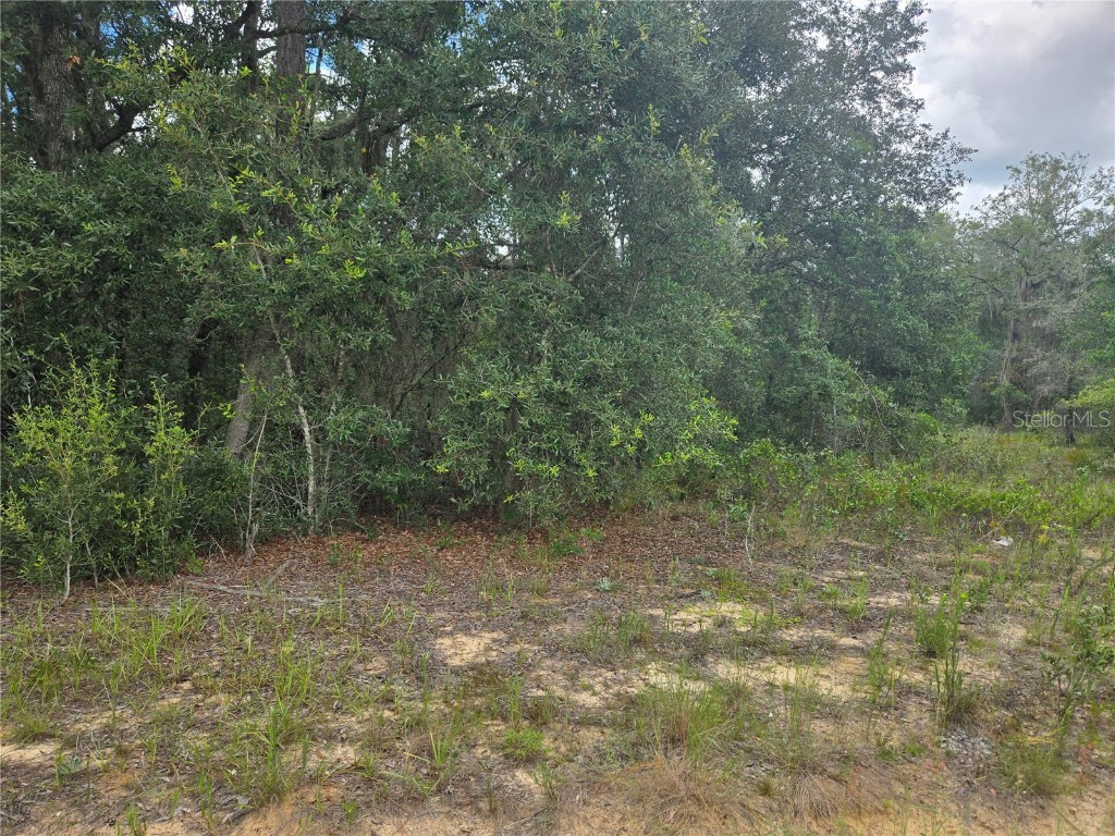 TBD David Drive Interlachen FL 32148 GC521915 image5