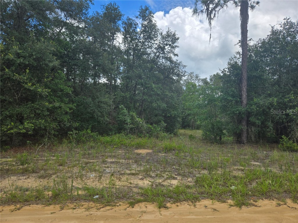 TBD David Drive Interlachen FL 32148 GC521915 image6
