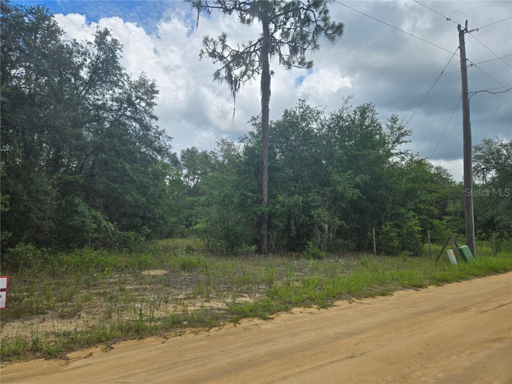 TBD David Drive Interlachen FL 32148 GC521915 image7