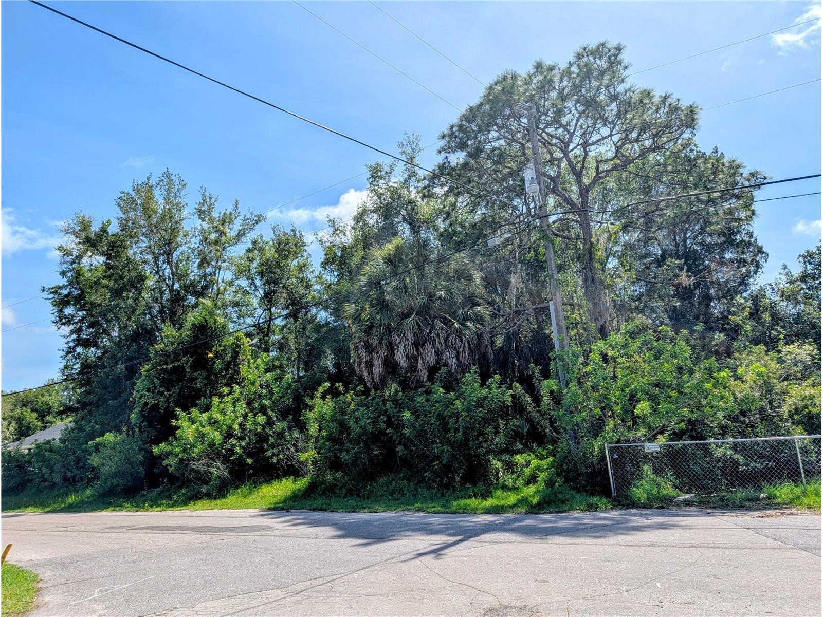 TBD Dayton Hudson FL 34667 W7886260 image1