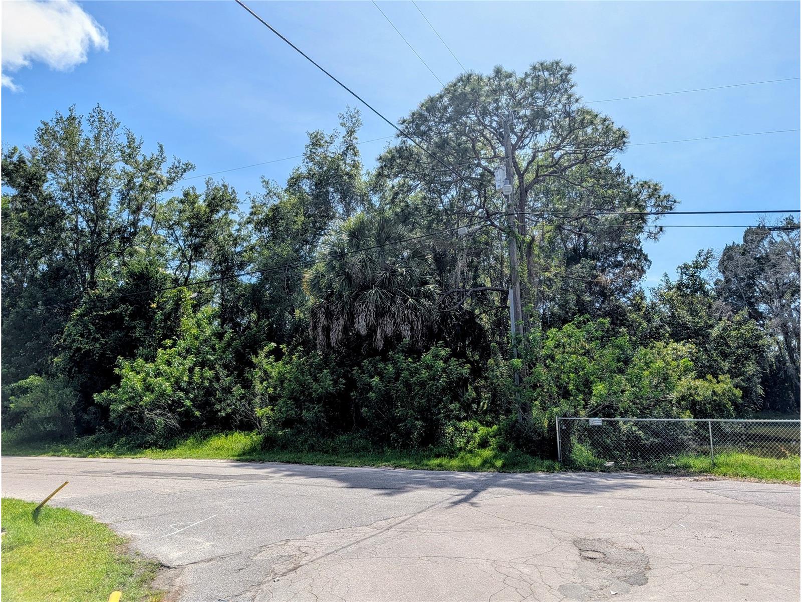TBD Dayton Hudson FL 34667 W7886260 image2