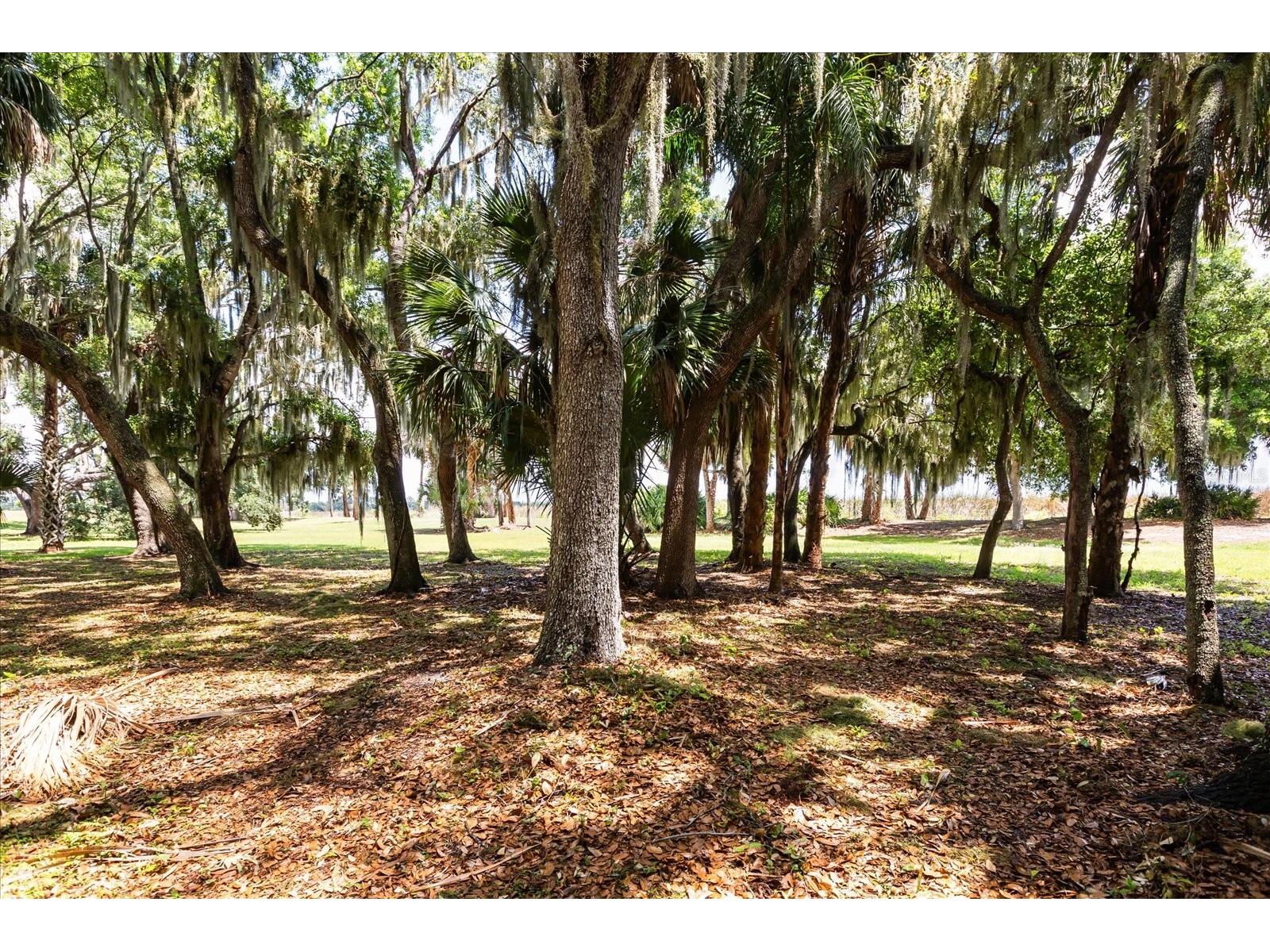 TBD Deer Island Road Tavares FL 32778 - LAKE BEAUCLAIR G5111268 image12