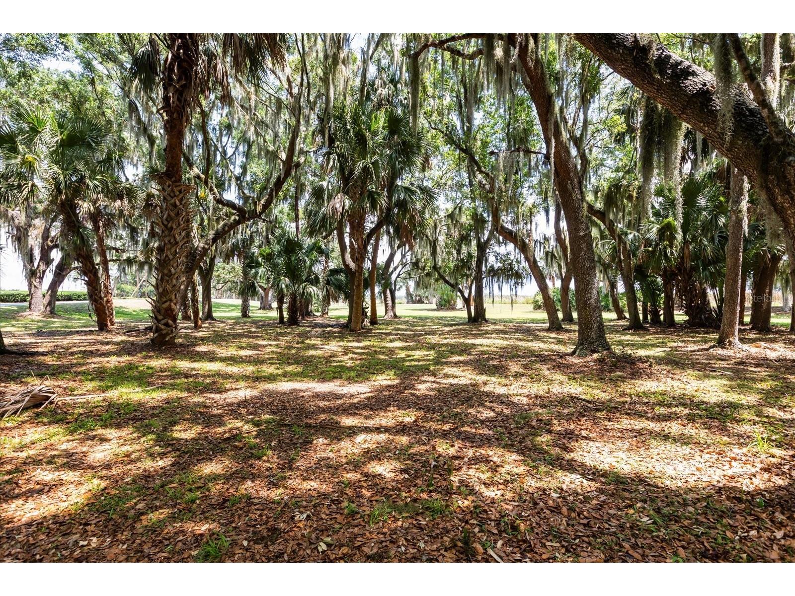 TBD Deer Island Road Tavares FL 32778 - LAKE BEAUCLAIR G5111268 image14