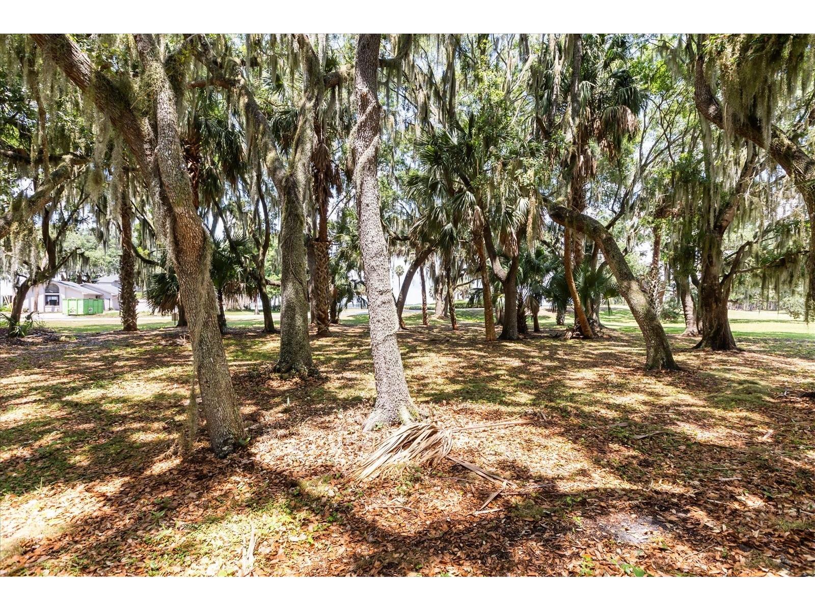 TBD Deer Island Road Tavares FL 32778 - LAKE BEAUCLAIR G5111268 image17