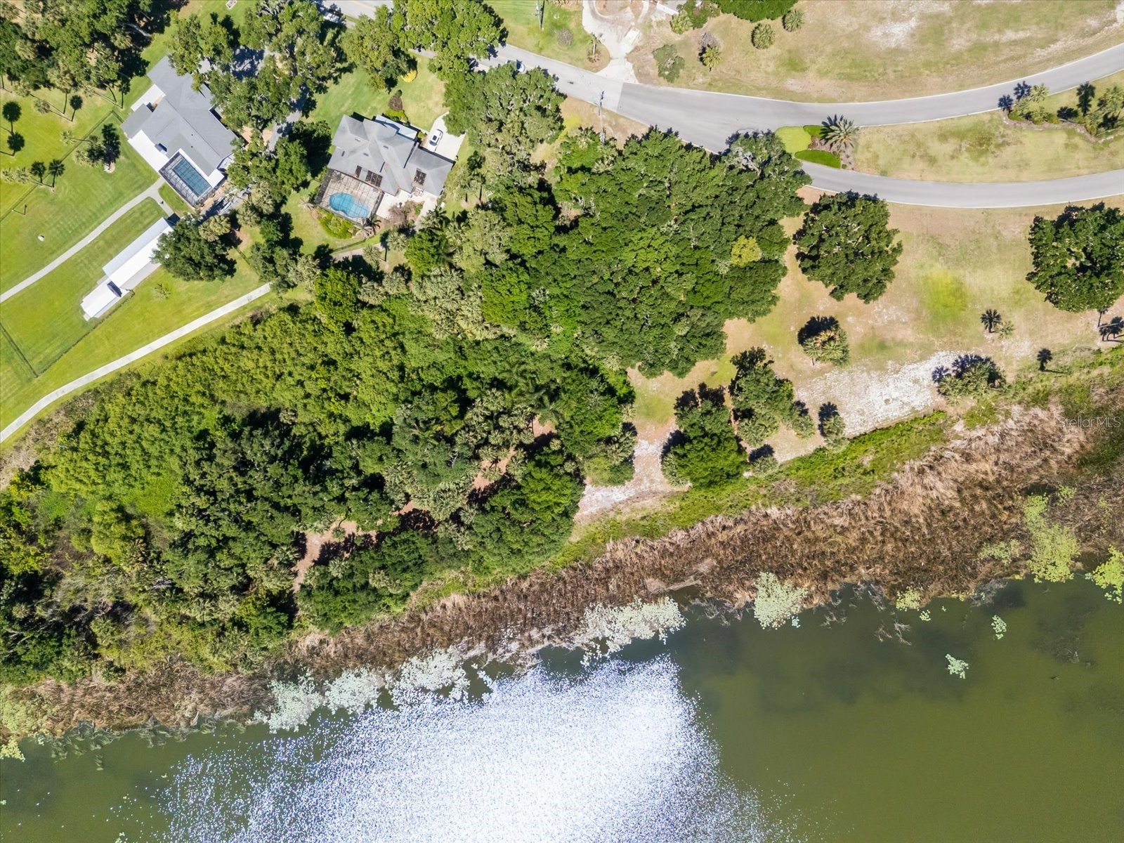 TBD Deer Island Road Tavares FL 32778 - LAKE BEAUCLAIR G5111268 image18