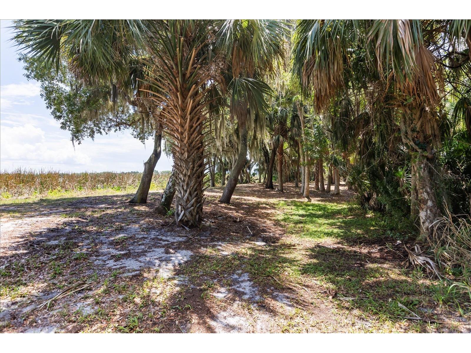 TBD Deer Island Road Tavares FL 32778 - LAKE BEAUCLAIR G5111268 image19