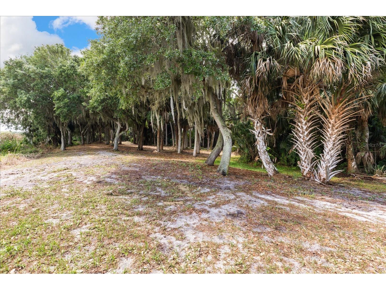 TBD Deer Island Road Tavares FL 32778 - LAKE BEAUCLAIR G5111268 image21