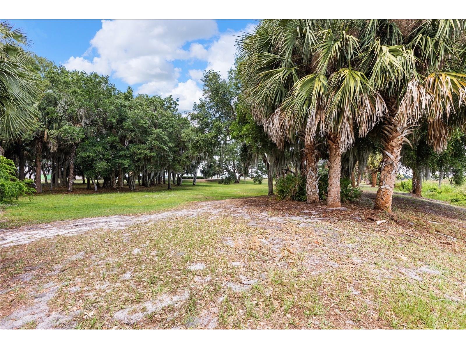 TBD Deer Island Road Tavares FL 32778 - LAKE BEAUCLAIR G5111268 image22