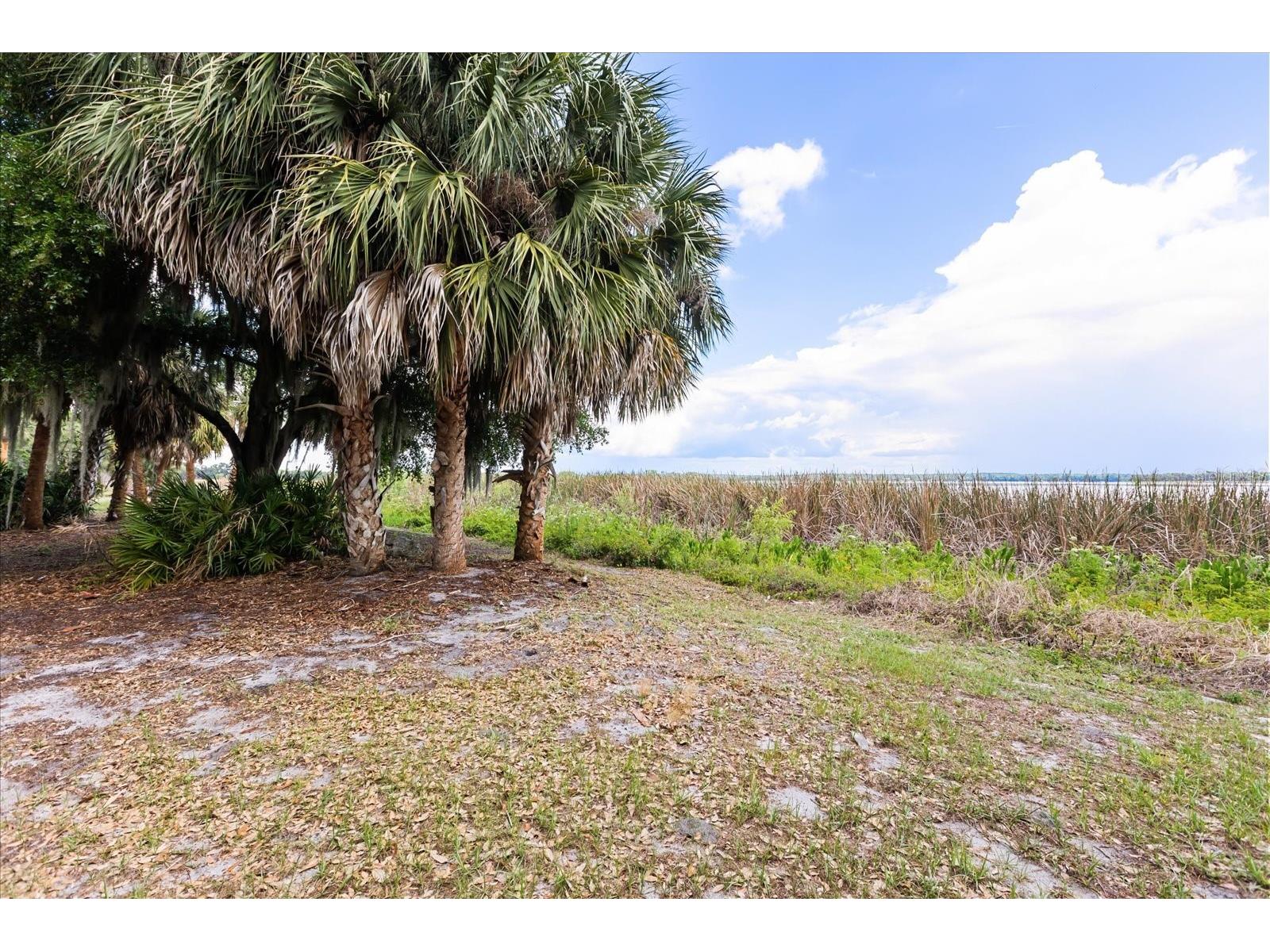 TBD Deer Island Road Tavares FL 32778 - LAKE BEAUCLAIR G5111268 image23