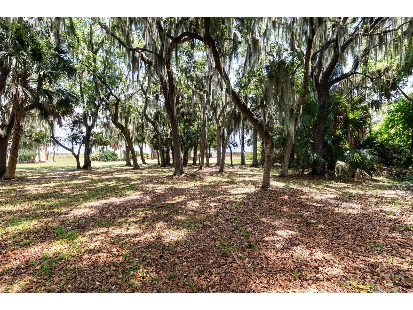 TBD Deer Island Road Tavares FL 32778 - LAKE BEAUCLAIR G5111268 image6