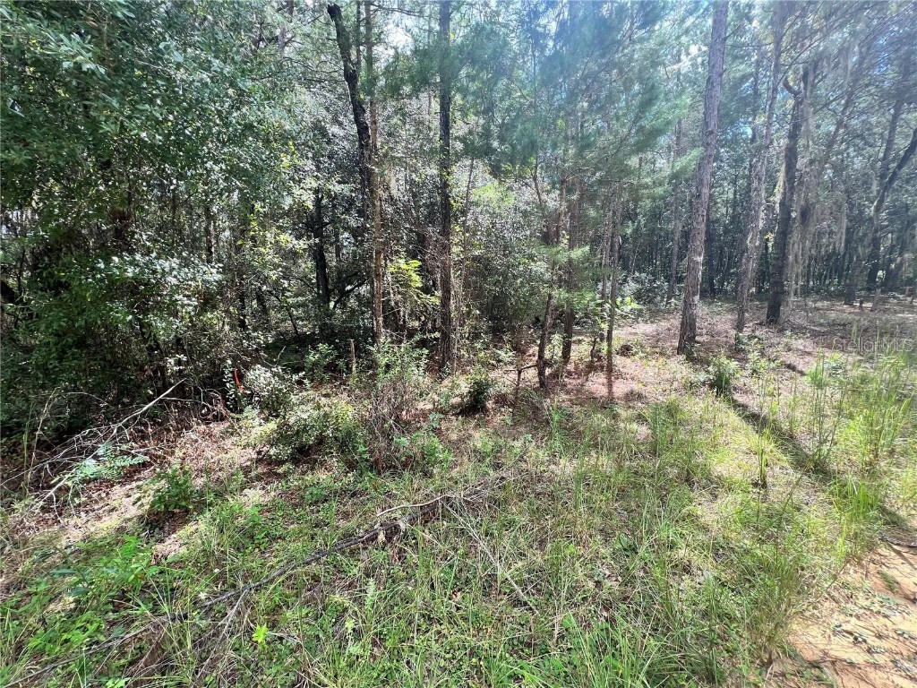 TBD Del Monaco Avenue Interlachen FL 32148 GC512738 image1