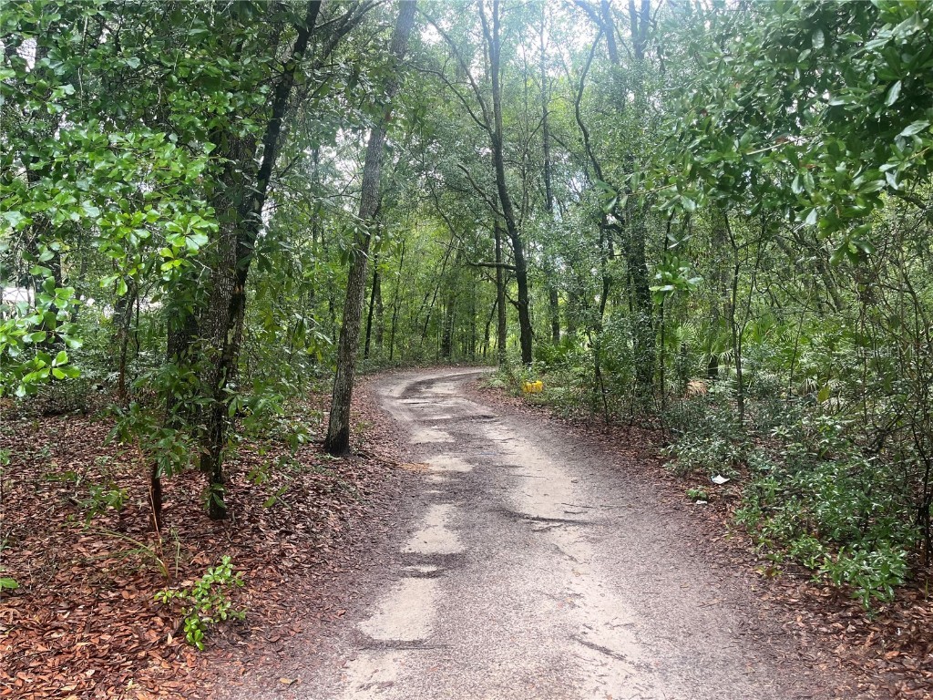 TBD Delaware Avenue Interlachen FL 32148 OK225296 image2