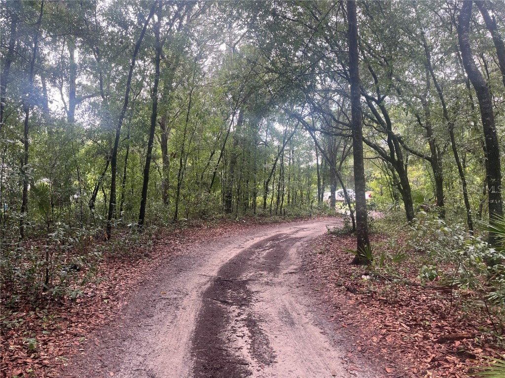 TBD Delaware Avenue Interlachen FL 32148 OK225296 image3