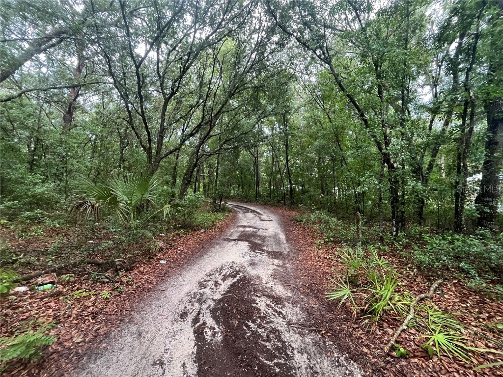 TBD Delaware Avenue Interlachen FL 32148 OK225296 image6