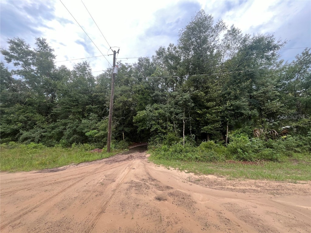 TBD Delaware Avenue Interlachen FL 32148 OK225296 image8