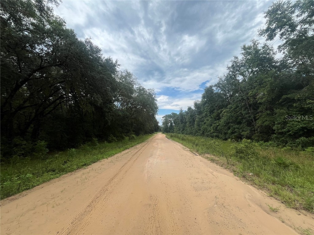 TBD Delaware Avenue Interlachen FL 32148 OK225296 image9