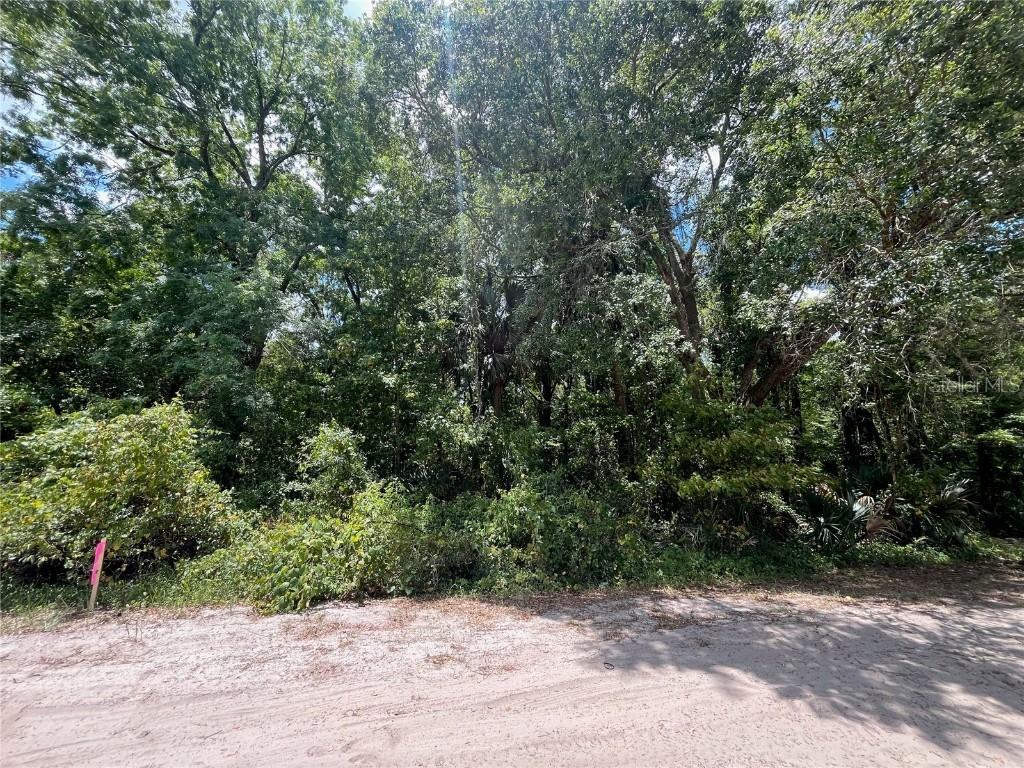 TBD Division #40 Hastings FL 32145 OK224134 image1