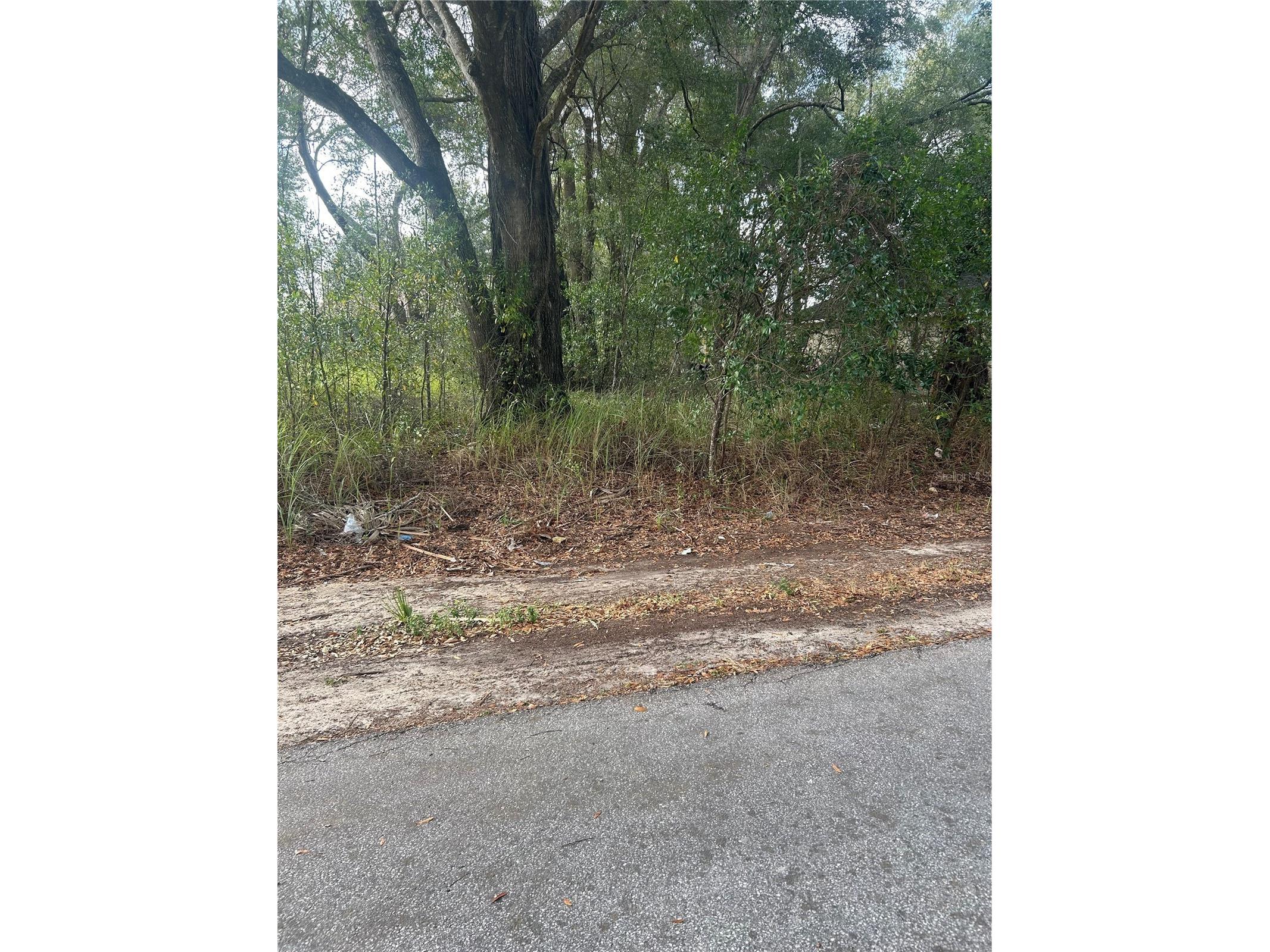 TBD Dogwood Trail Place Ocala FL 34472 OM715546 image3
