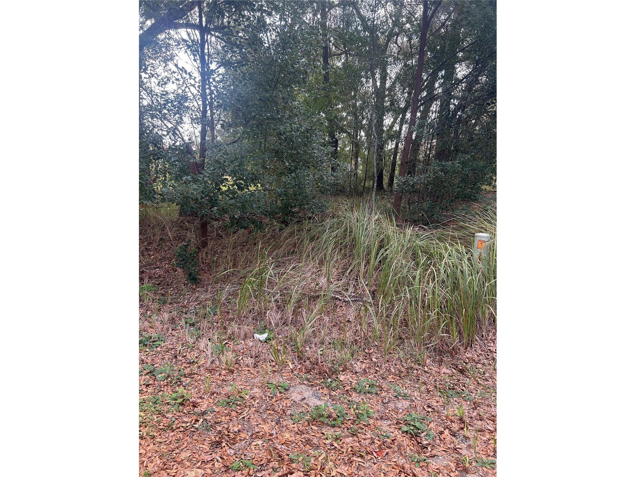 TBD Dogwood Trail Place Ocala FL 34472 OM715546 image4