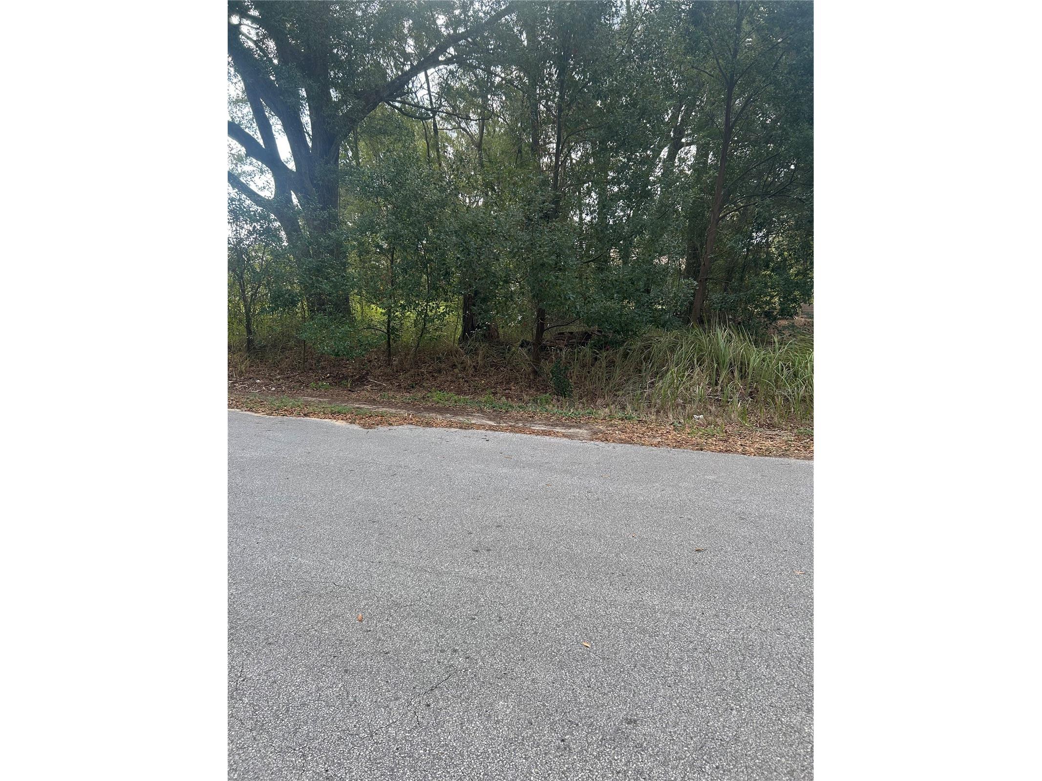 TBD Dogwood Trail Place Ocala FL 34472 OM715546 image5