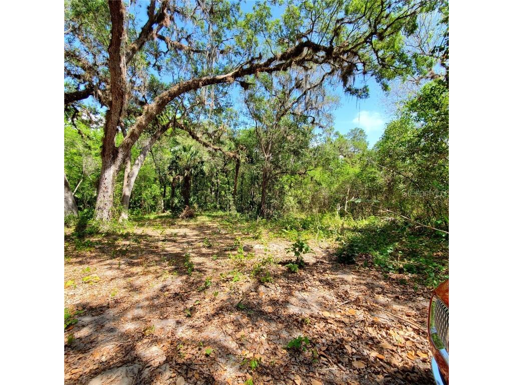TBD Double Run Road Astatula FL 34705 G5067359 image1