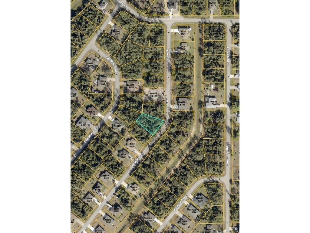 00 Dragon Street North Port FL 34288 TB8426937 image2