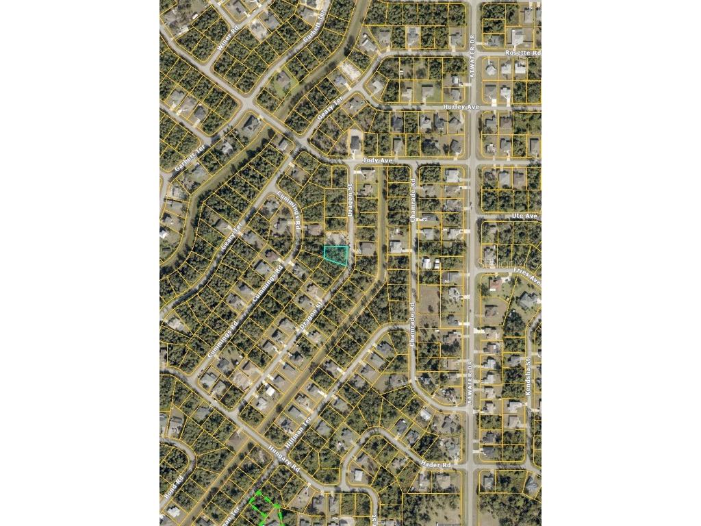 00 Dragon Street North Port FL 34288 TB8426939 image3