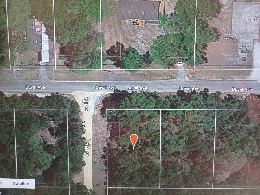 TBD Duval Avenue Interlachen FL 32148 O6177071 image1